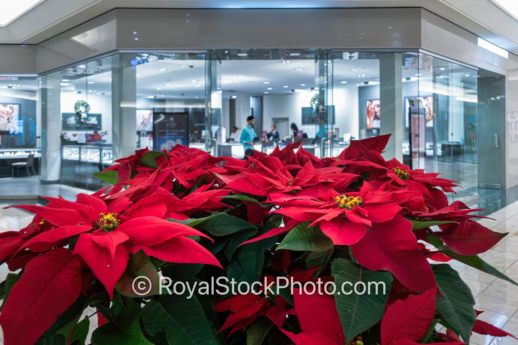 Red FlowerGardens Mall Christmas 2025