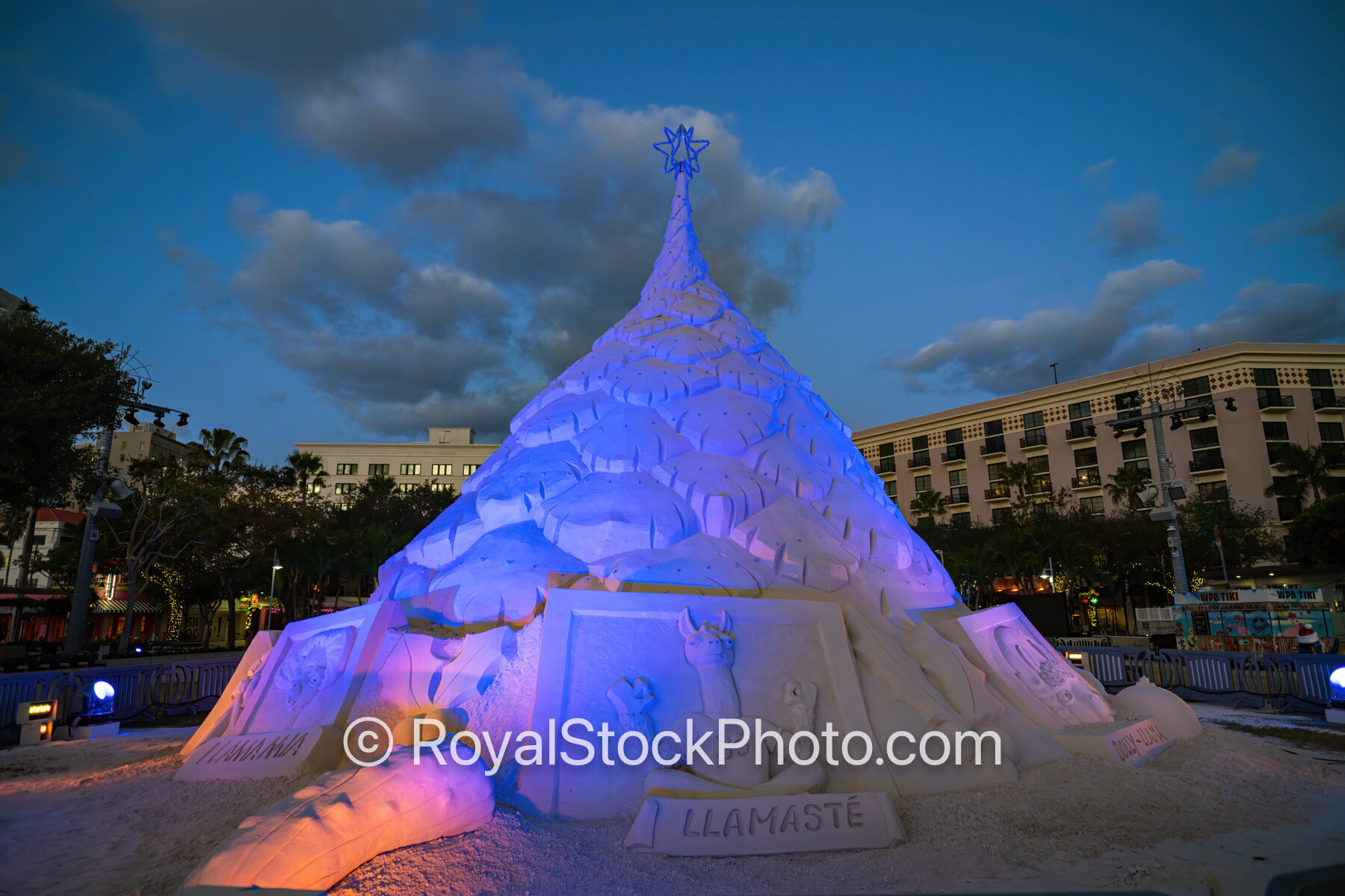 Sandi Christmas Tree Sunday Morning Lights 2024