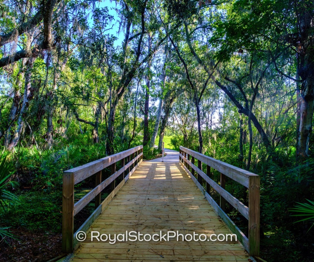 Scenic Wooden Boardwalk Leading Through Lush Greenery in Lakewood Ranch Florida Under Bright Afternoon Sunlight