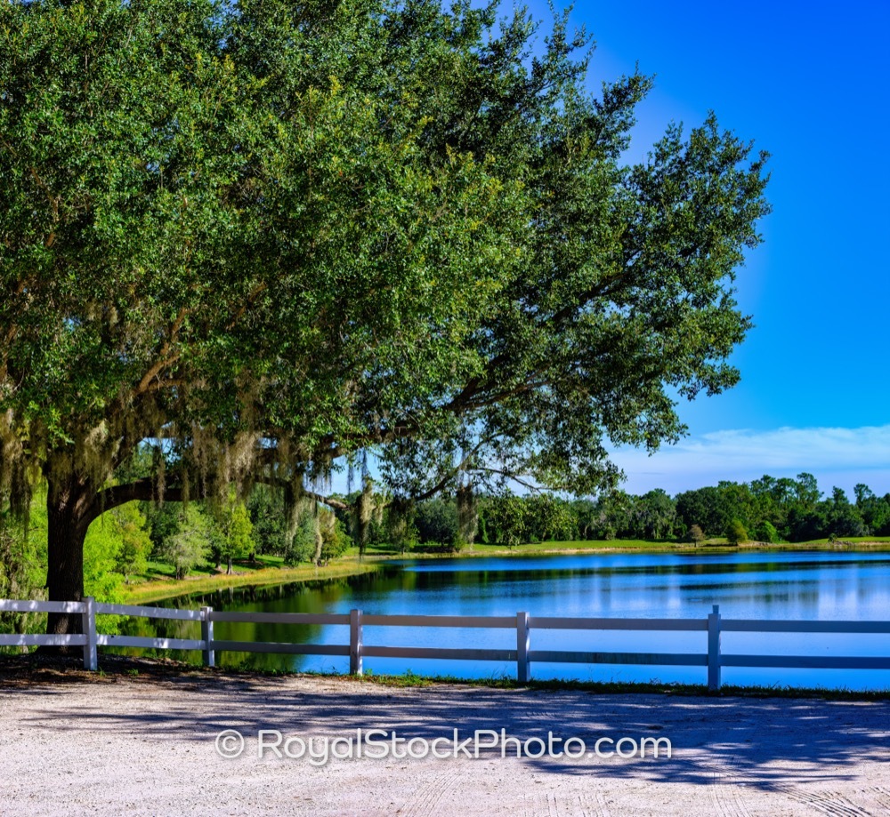 Tranquil Lakewood Ranch Florida Park Scene Showcasing Serenity with Lush Greenery and Crystal Clear Waters