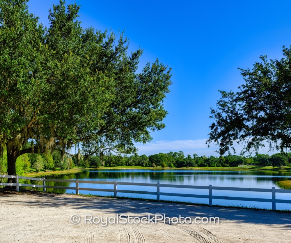 Lush Nature Preserve Surrounding Tranquil Lake in Lakewood Ranch Florida Under Clear Blue Skies