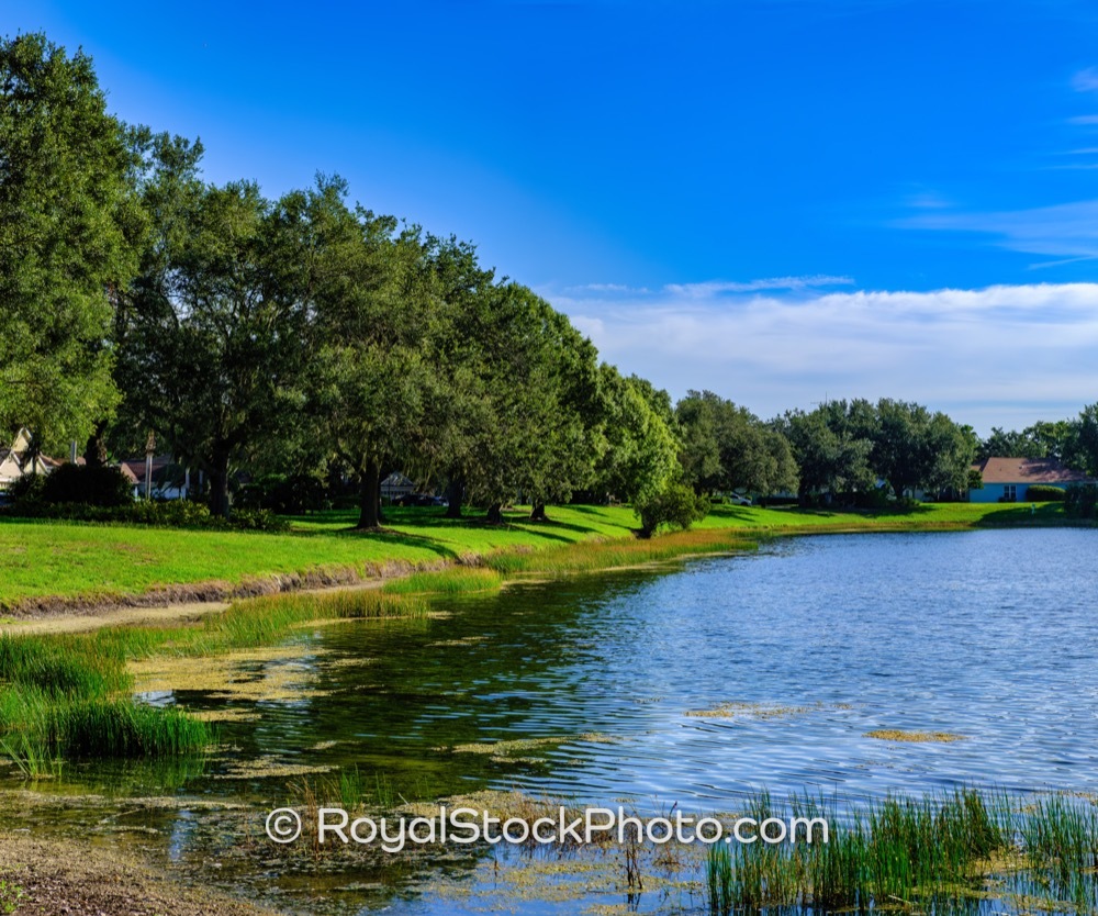 Tranquil Lakefront Path in Summerfield Florida Showcasing Lush Greenery and Crystal Clear Waters Under Bright Afternoon Sun