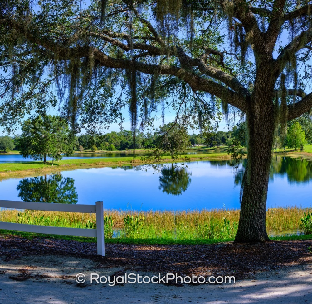 Scenic Lakewood Ranch Boulevard in Florida Framed by Majestic Trees and Reflective Waters Under Bright Afternoon Light