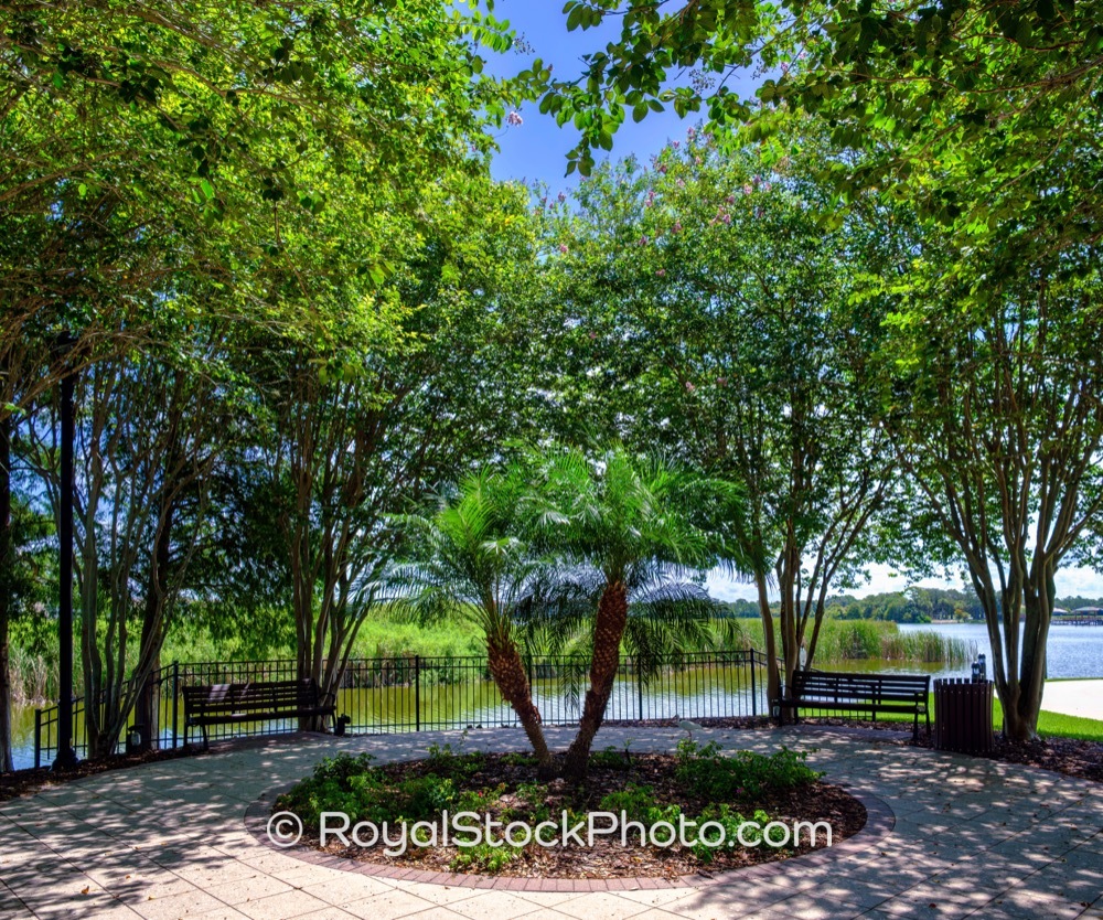 Circular Gathering Area Surrounded by Lush Palm and Oak Trees in Lakewood Ranch Florida on Bright Sunlit Day