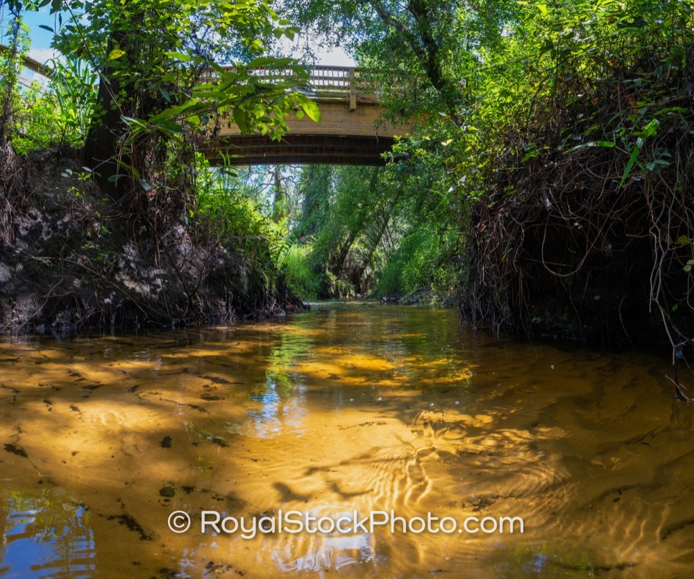 Wooden Bridge Over Flowing Stream with Lush Greenery Along Hidden River ...