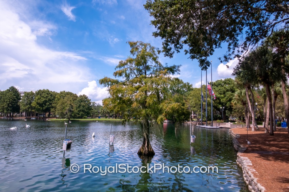 Discover the Scenic Beauty and Recreation Awaiting You at Lake Eola Park in Orlando Florida on East Washington Street 20250829