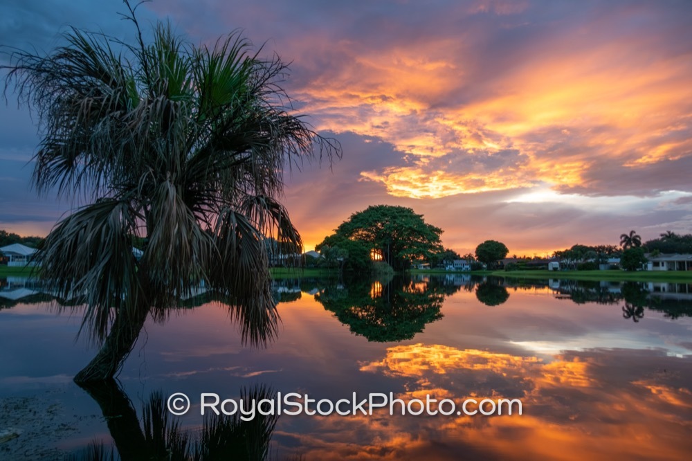 Serene Sunset Reflections at Lake Catherine Park Inspire Visitors to Palm Beach Gardens on Macarthur Boulevard 20250925