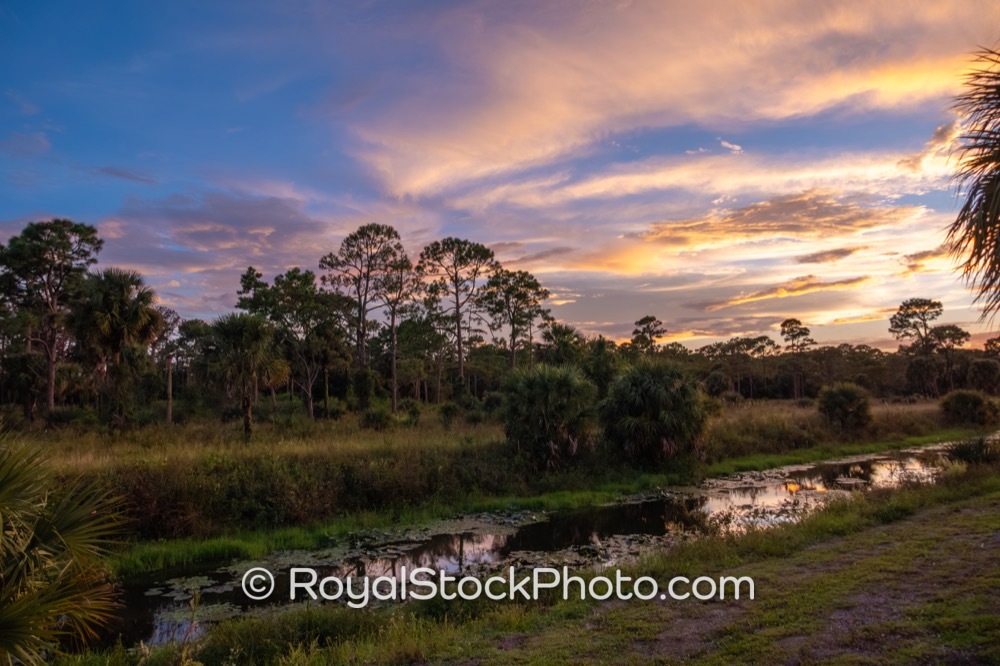 An Abundant Natural Habitat at Winding Waters Natural Area Showcases Unique Wildlife and Tranquil Ecosystems on North Haverhill Road 20250927