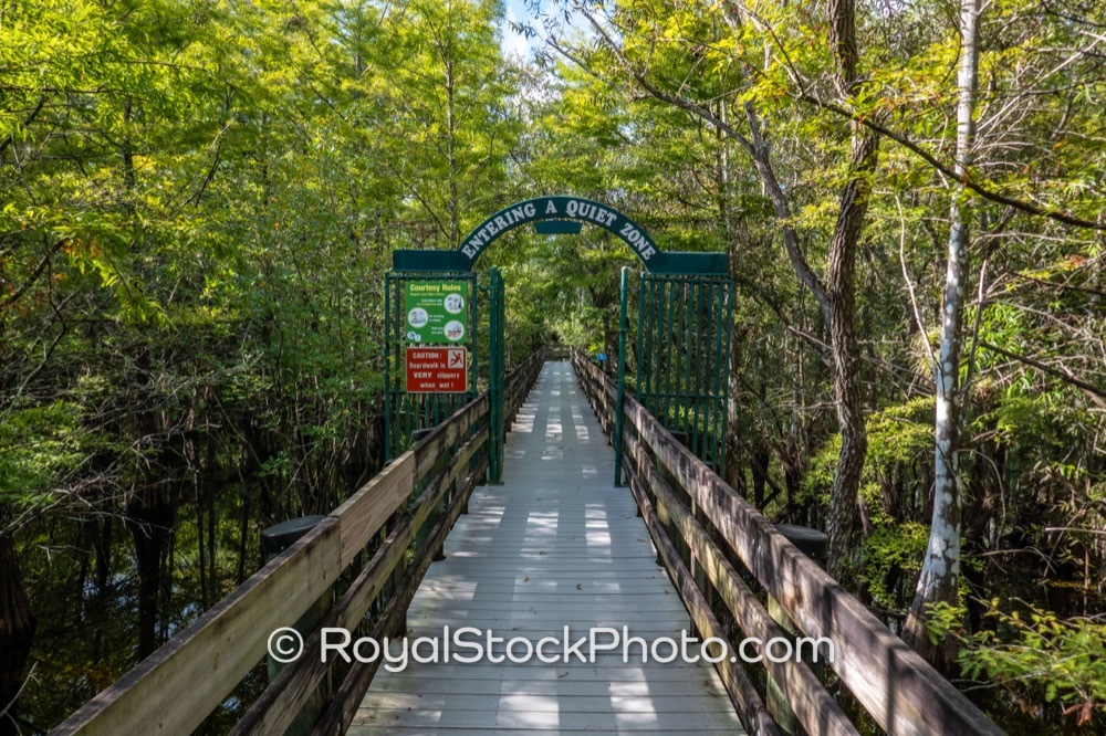 Captivating Nature Trails Highlight Wildlife Conservation Efforts at Six Mile Cypress Slough in Fort Myers Florida on Penzance Boulevard 20250815