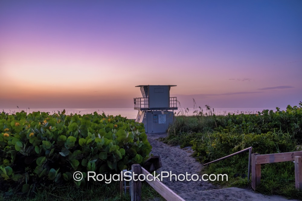 EcoConscious Hiking Leads to Pristine Hobe Sound Beach at Golden Hour in Florida on South Beach Road 20180213