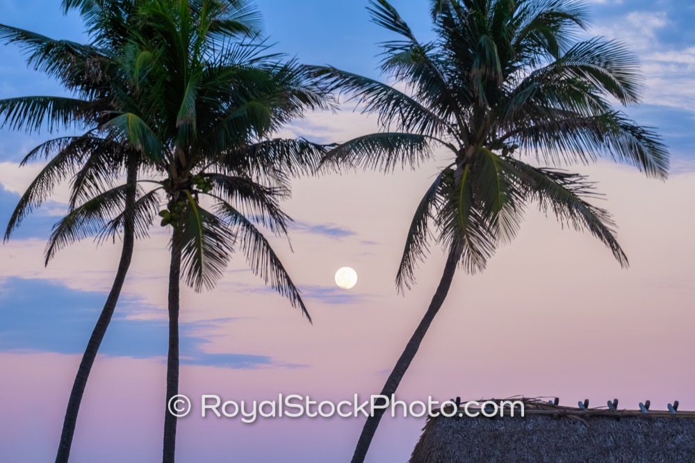 Luxurious Waterfront Living Captured at Juno Beach Park Under a Moonlit Sky on US Highway 1 20180101