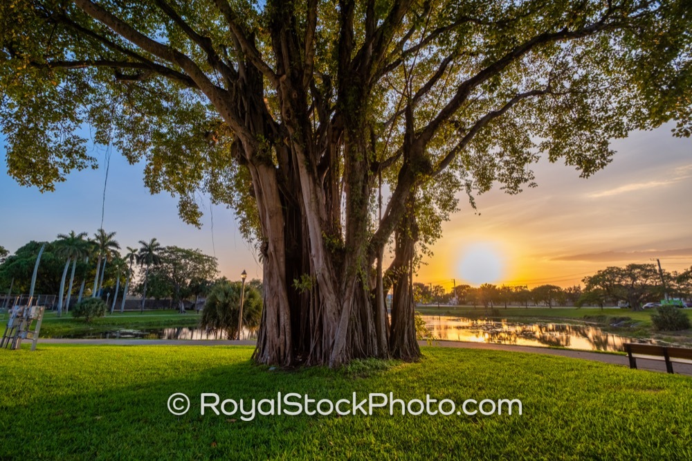 Enchanting Sunset Over Grassy Waters Preserve Enhances Nightlife Activities in West Palm Beach on Lake Avenue 20180101