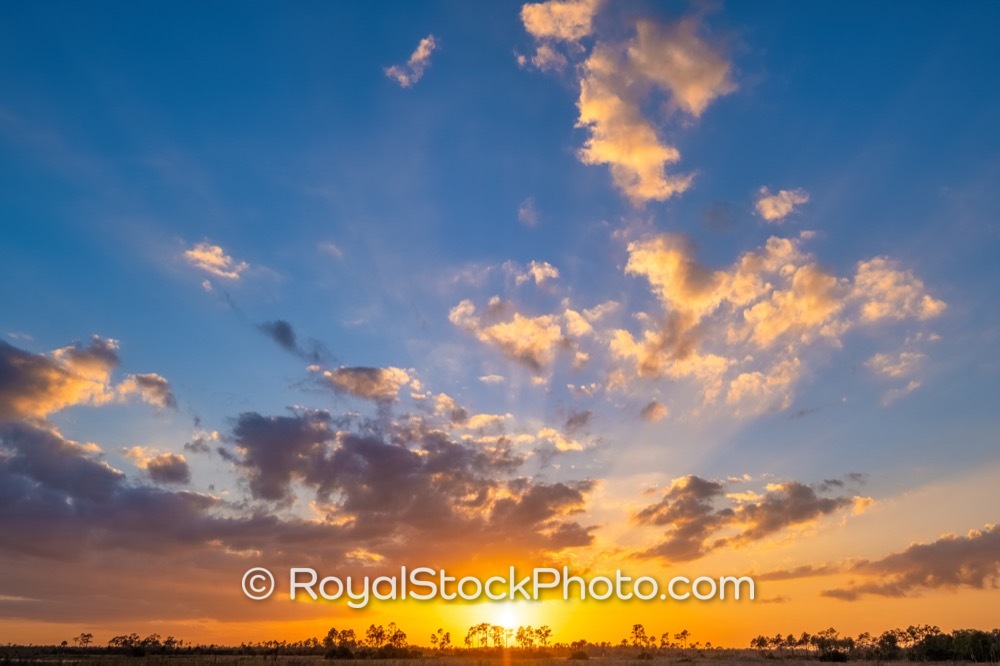 Unique Outdoor Experience Amidst Vibrant Sunset Skies at Pine Glades Natural Area in Jupiter Florida on West Indiantown Road 20180412
