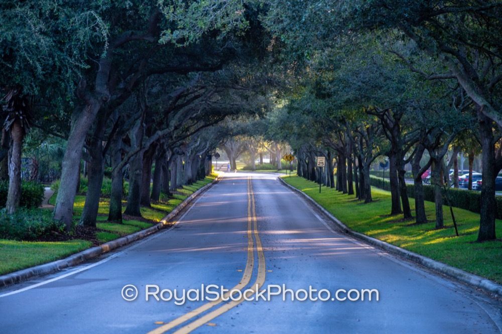 Luxurious Living Awaits in Serene Neighborhood along Valencia Gardens Avenue in Palm Beach Gardens 20251108