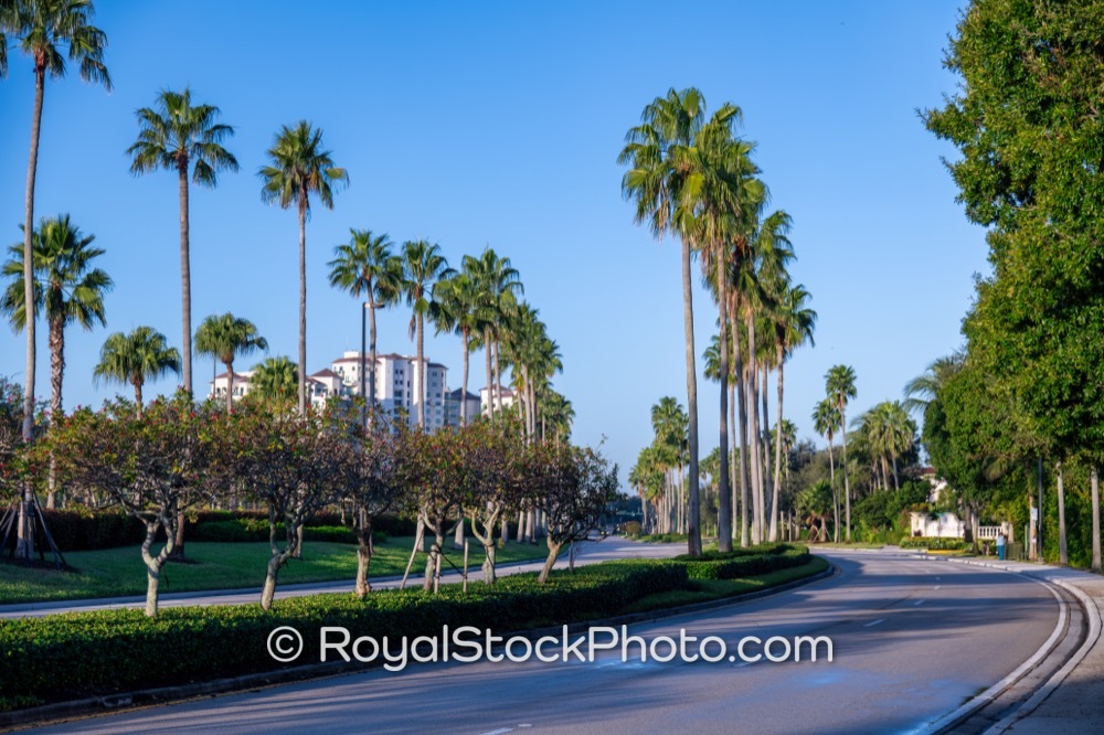 Inviting Community Aesthetics Highlight Gardens Parkway Living in Palm Beach Gardens Florida 20251108