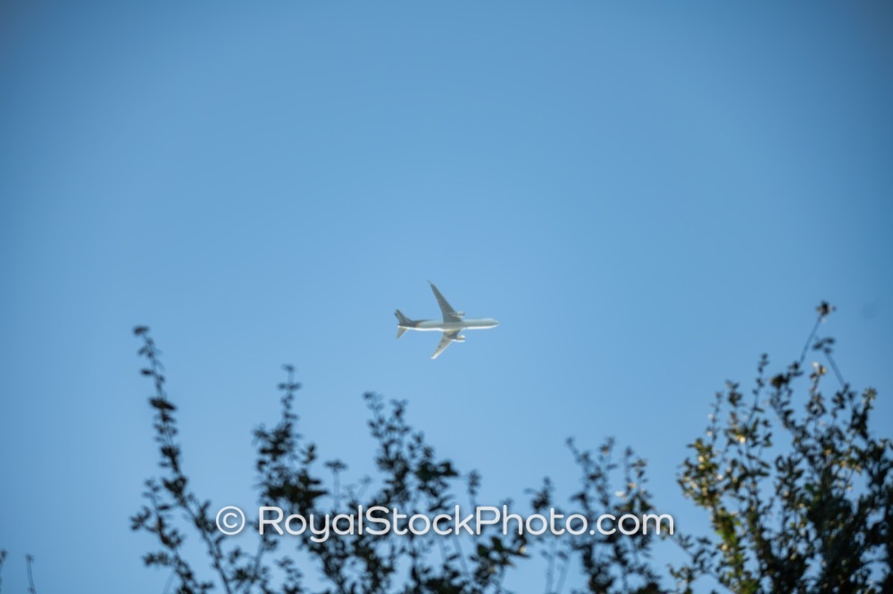 Preserve the Natural Serenity as Morning Flights Enhance Palm Beach Citys Coastal Sky on Tuscany Court 20251108