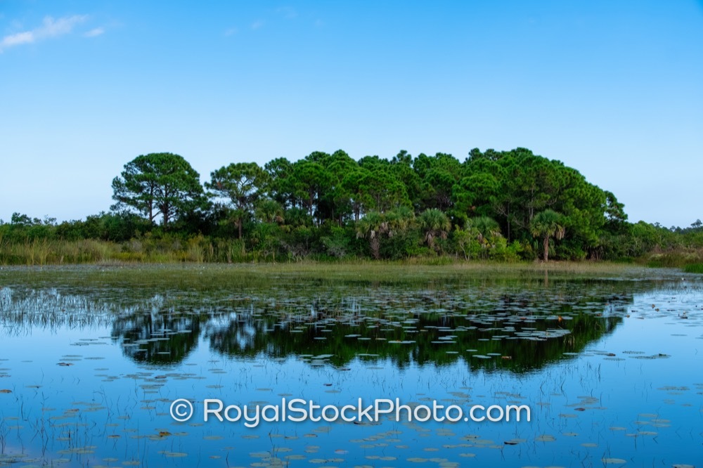 Discover Unique Ecosystems and Native Wildlife at Riverbend Park Port St Lucie Florida on Canoe Launch Road 20251108