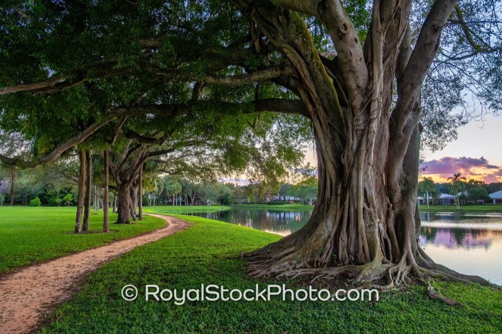 Lakeside Property Offers Luxury Living and Iconic Sunset Views in Lake Catherine Park Palm Beach Gardens on Macarthur Boulevard 20251109