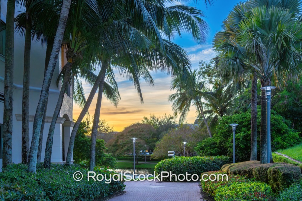 Elevated Riverfront Pathway Highlights Tropical Palm Views in Palm Beach Gardens at Sunset on Gardens Parkway 20251110