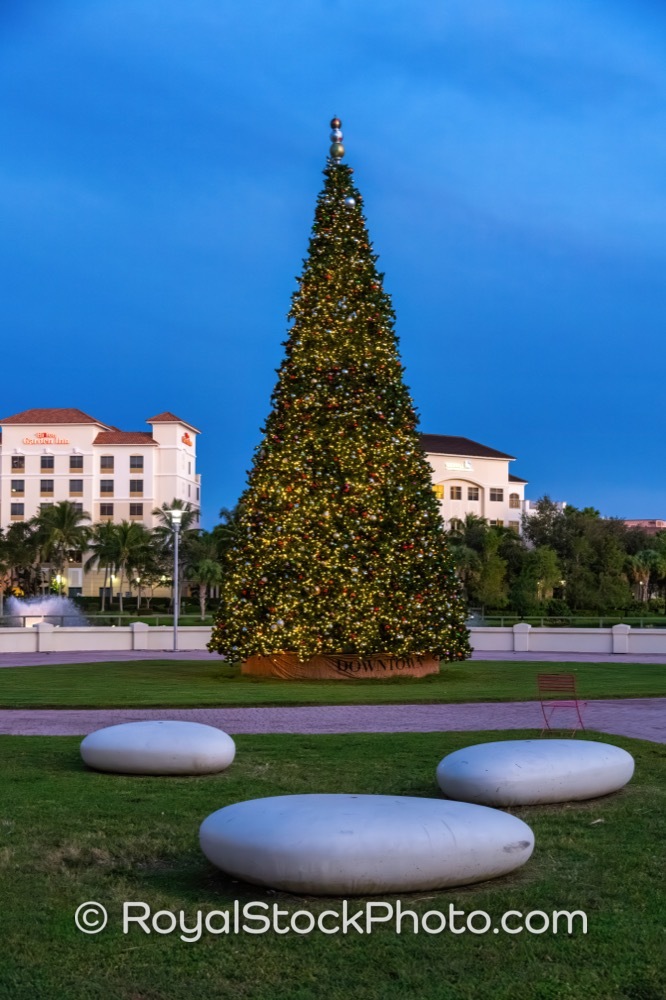 Celebrate the Season with Festive Greenery at the Downtown Christmas Tree in Palm Beach Gardens on Lake Victoria Gardens Avenue 20251110
