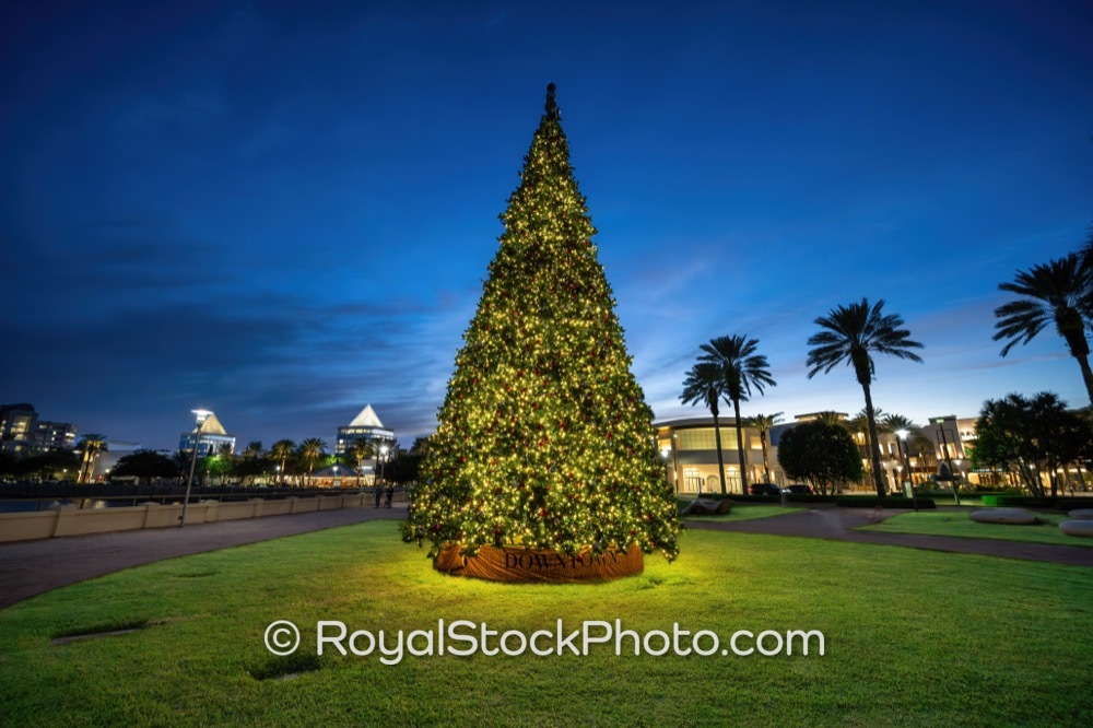 Celebrate the Holiday Spirit at the Iconic Tree in Palm Beach Gardens During Evening Glow on Lake Victoria Gardens Avenue 20251110