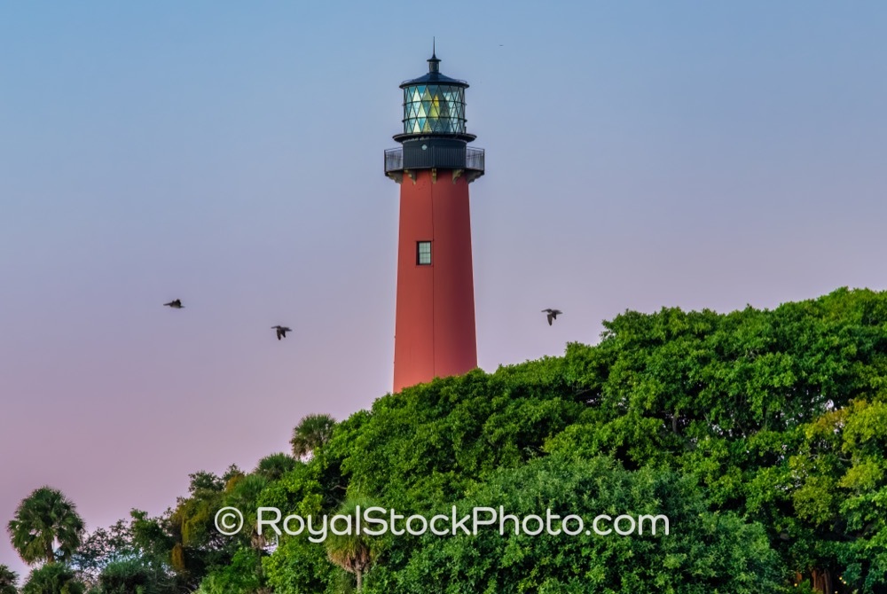 Captivating Lighthouse Views Elevate Real Estate Appeal Near Jupiter Inlet in Palm Beach County on County Highway 707 20251113
