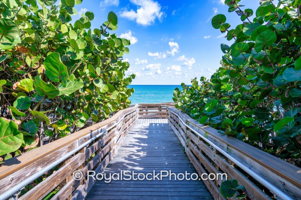 Elevated Boardwalk Access Enriches Visitor Experience for Beachfront Activities in Jupiter Florida on Ocean Boulevard 20251121