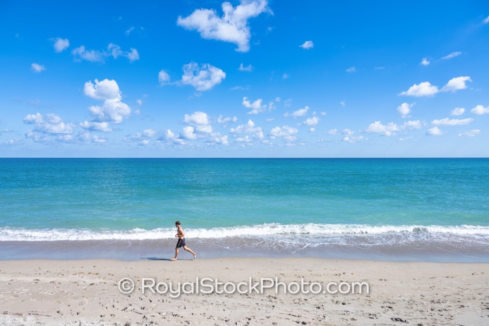 Natural Coastal Habitat Showcases Vibrant Ecosystem Along Jupiter Beach in Florida on Ocean Boulevard 20251121
