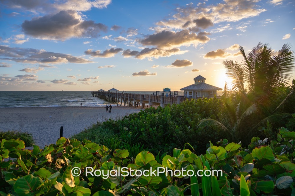 Morning Light Highlights Beach Activity at Juno Beach Pier A Breathtaking Coastal Experience on US Highway 1 20251129