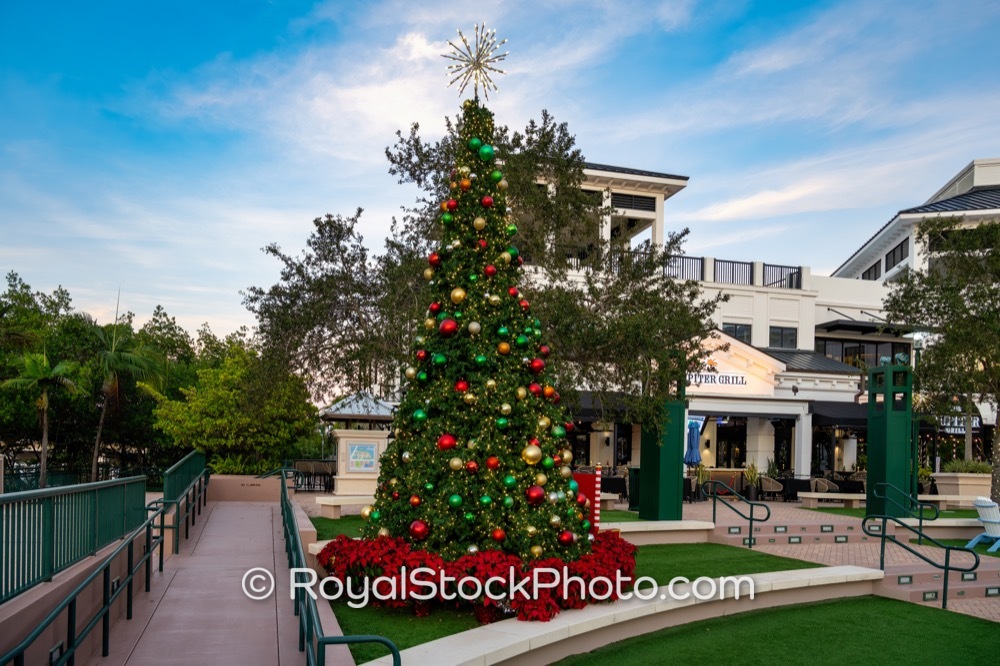 Festive December Cheer at Harbourside Place Invites Visitors to Floridas Coastal Community on Breakwater Court 20251205