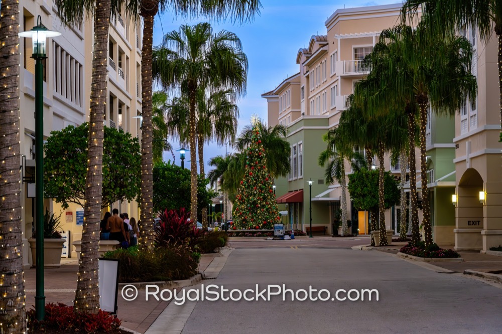 Celebrate Local Charm and Festive Spirit at Harbourside Place Holiday Tree in Jupiter Florida on Breakwater Court 20251205