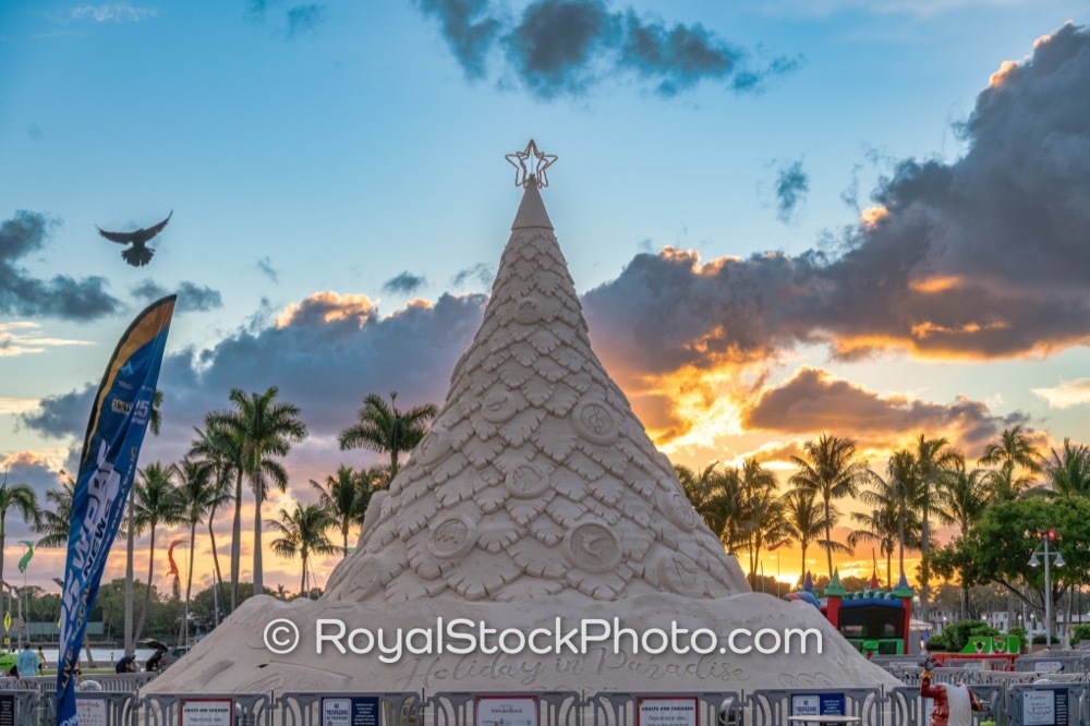 Celebrate the Holiday Season at the Festive Sand Tree in Downtown West Palm Beach Florida on South Flagler Drive 20251213