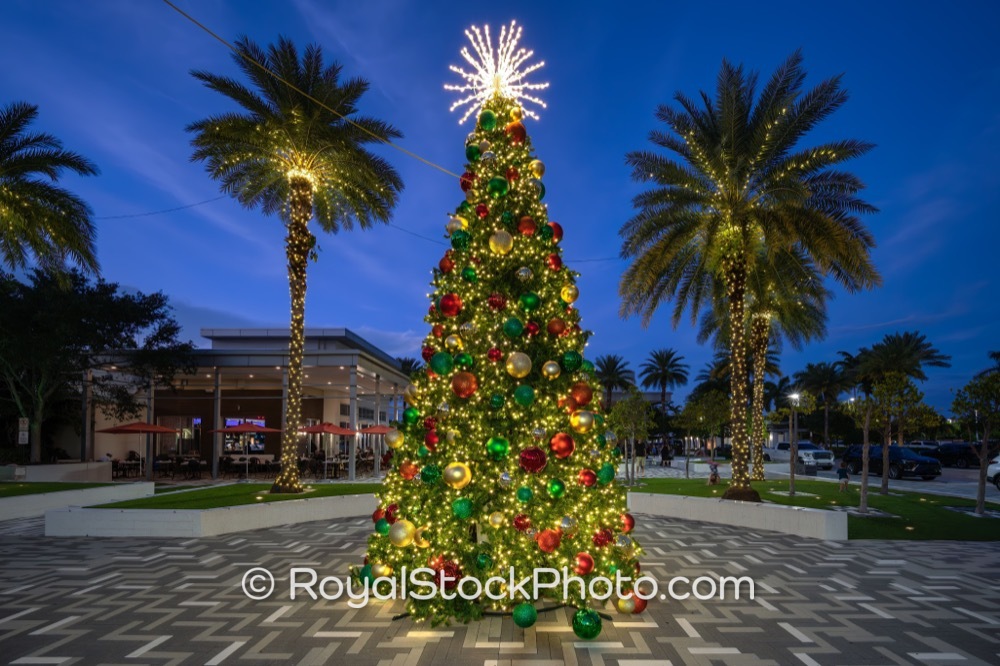 Festive Holiday Tree Illuminates Alton Town Center Capturing the Spirit of Palm Beach Gardens Florida on Donald Ross Road 20251214
