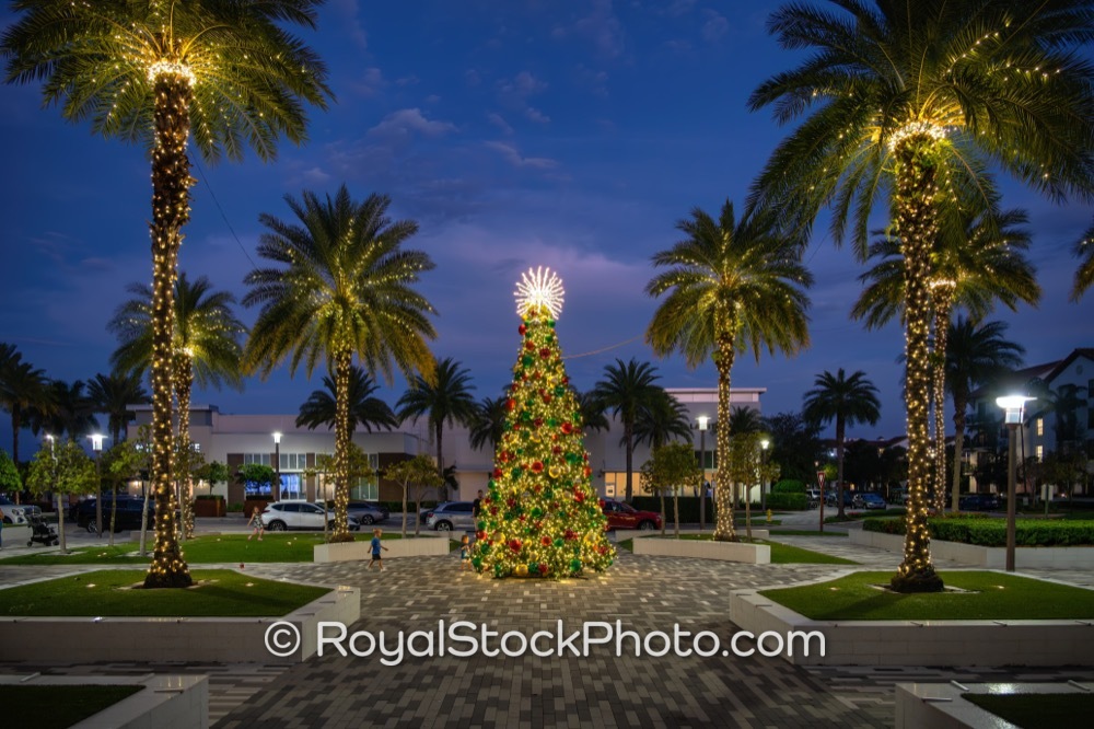 Celebrate the Holiday Spirit at the Stunning Alton Town Center Christmas Tree in Palm Beach Gardens Florida on Donald Ross Road 20251214
