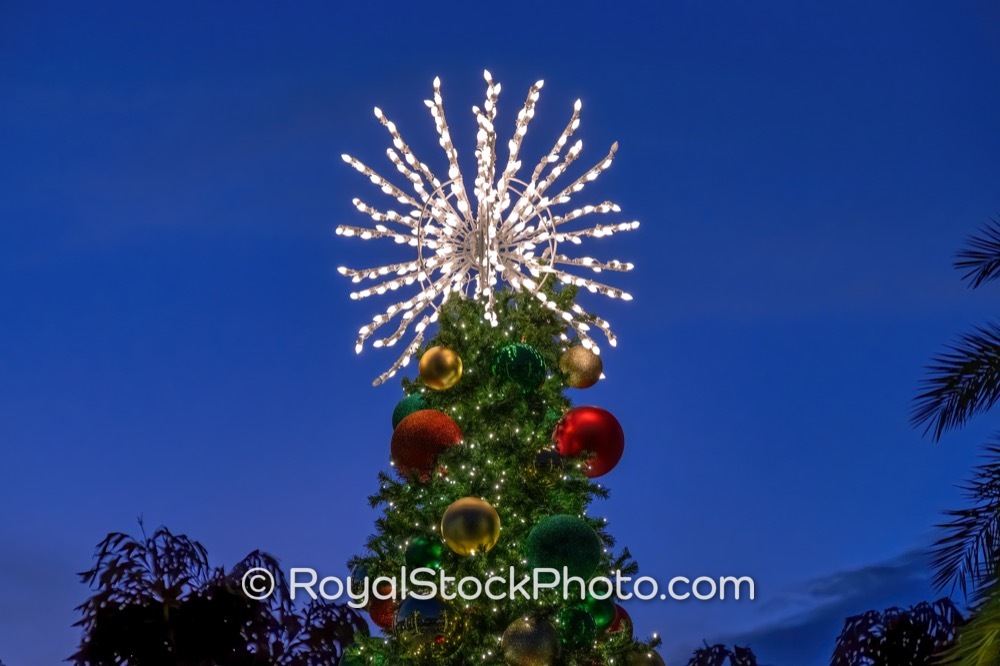 Festive Community Spirit Visualized in Alton Town Centers Illuminated Holiday Tree at Twilight on Donald Ross Road 20251214