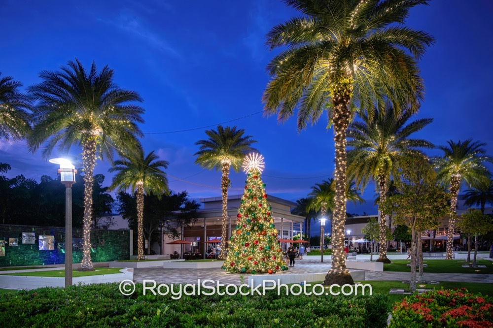 Coastal Community Delights in Festive Atmosphere at Alton Town Center During Holiday Season on Donald Ross Road 20251214