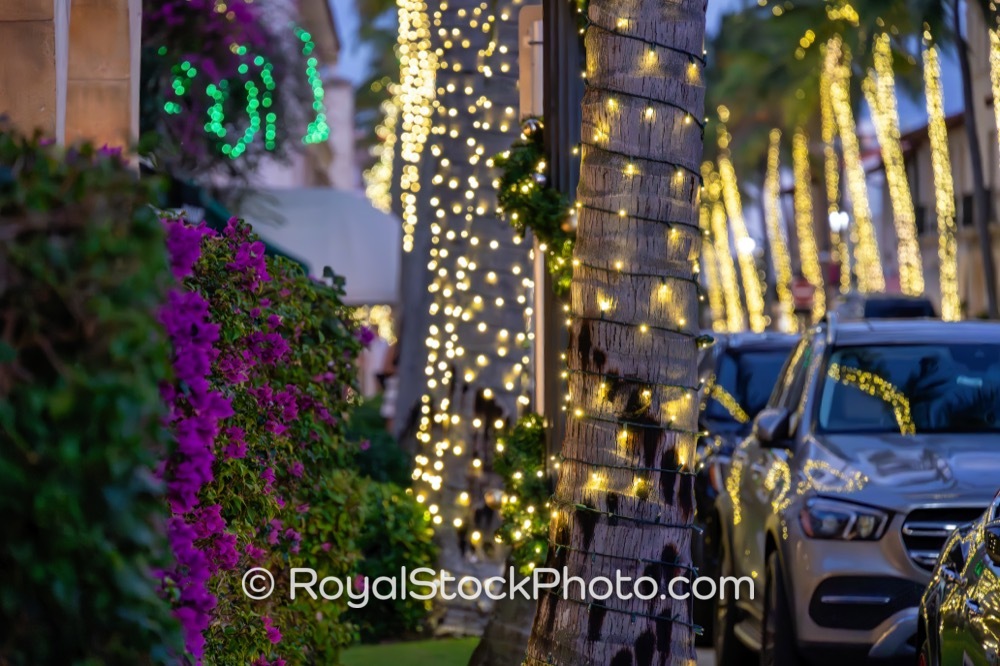 Capture Festive Holiday Spirit Amidst Iconic Lights on Worth Avenue in Palm Beach Florida 20251223
