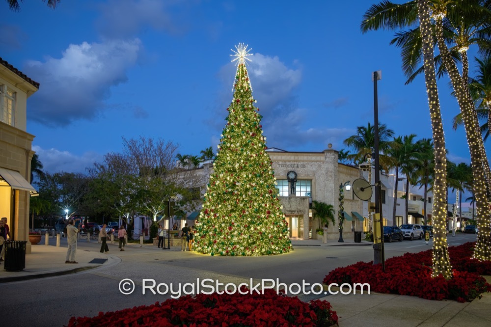Seasonal Celebrations Highlight Luxury Living with Holiday Tree on Worth Avenue in Palm Beach Florida 20251223