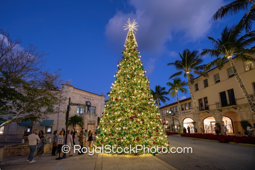 Celebratory Holiday Gatherings Around the Iconic Worth Avenue Tree in Palm Beach Florida 20251223