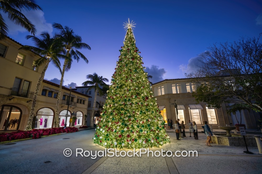 Celebrate the Holiday Season with Dazzling Lights at the Iconic Christmas Tree on Worth Avenue 20251223