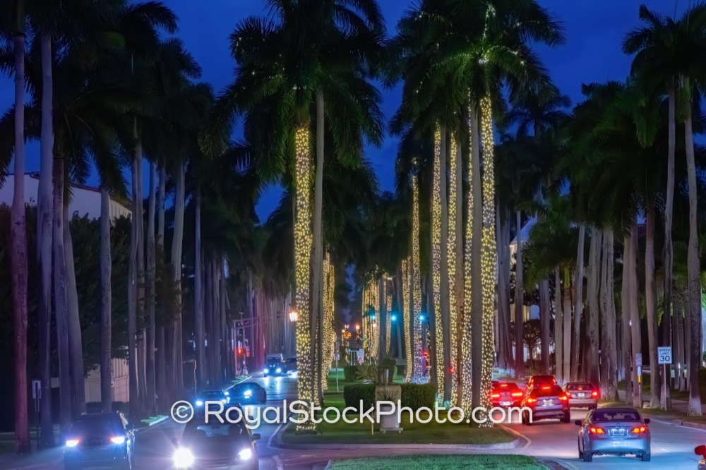 Nighttime Luxury Living Showcases Royal Palm Ways Illuminated Palm Trees in Palm Beach 20251223