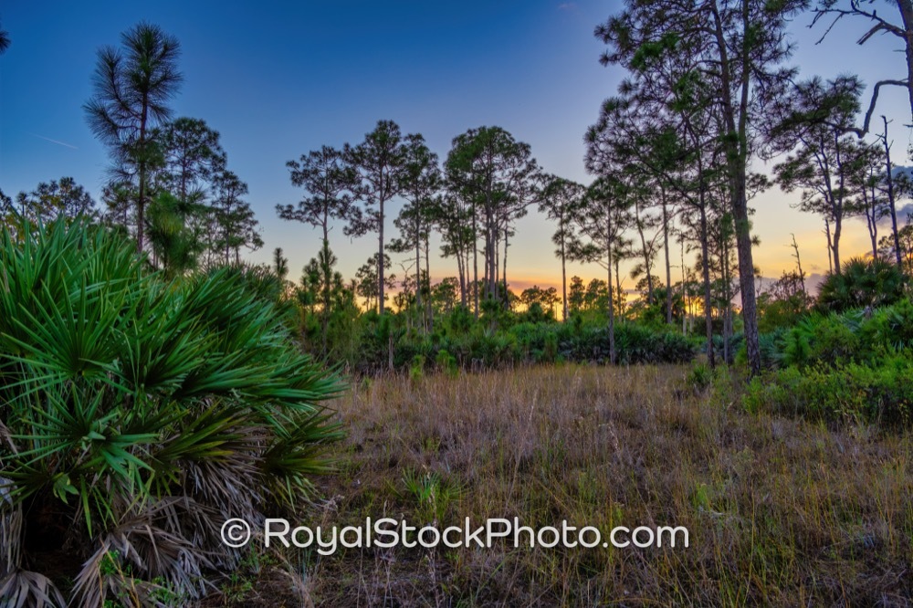 Invigorating Recreational Spaces Showcase Sunset Over Natural Landscapes in Royal Palm Beach Florida on Natures Way 20260106