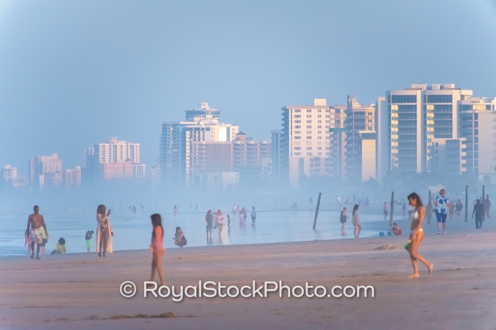 Preserving Coastal Ecosystems Biodiversity Along Daytona Beach During Sunset on South Atlantic Avenue 20250718