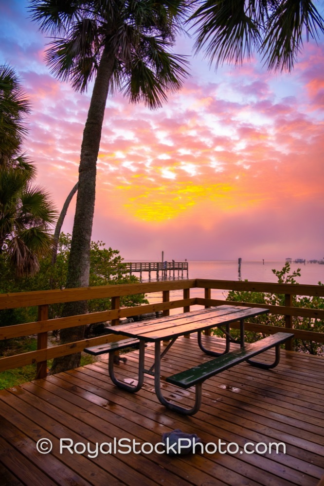 Preserve Native Ecosystems While Embracing Floral Beauty at Castaways Point Park in Palm Bay Florida on Bay Boulevard Northeast 20260104