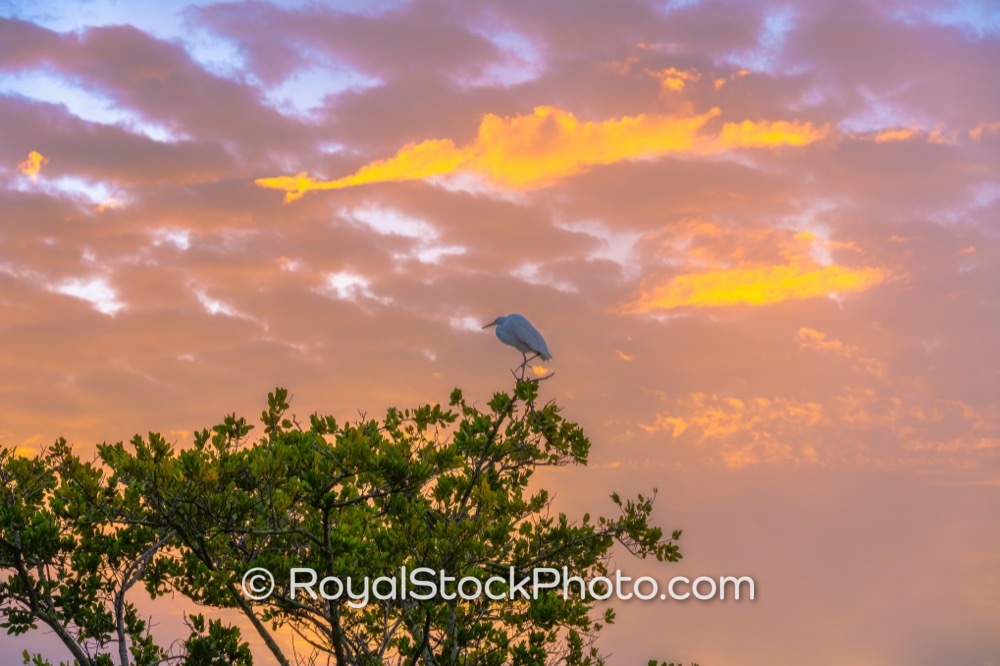 Preserve Marine Life Through Engaging Nature Experiences at Castaways Point Park in Palm Bay on Bay Boulevard Northeast 20260104