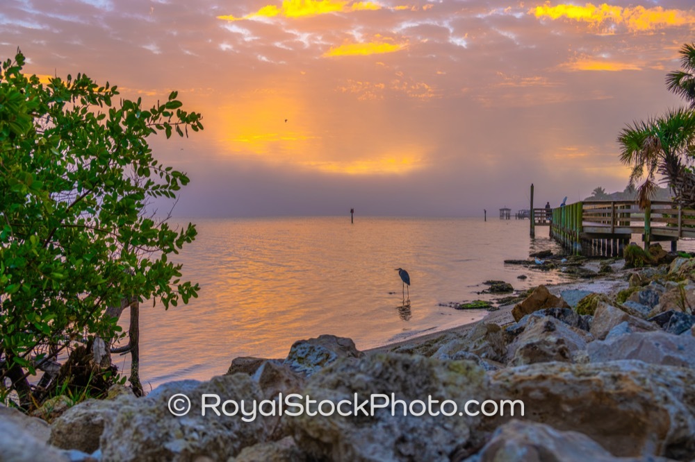 Embrace the Serenity of Morning Light at Castaways Point Park in Palm Bay Florida on Bay Boulevard Northeast 20260104