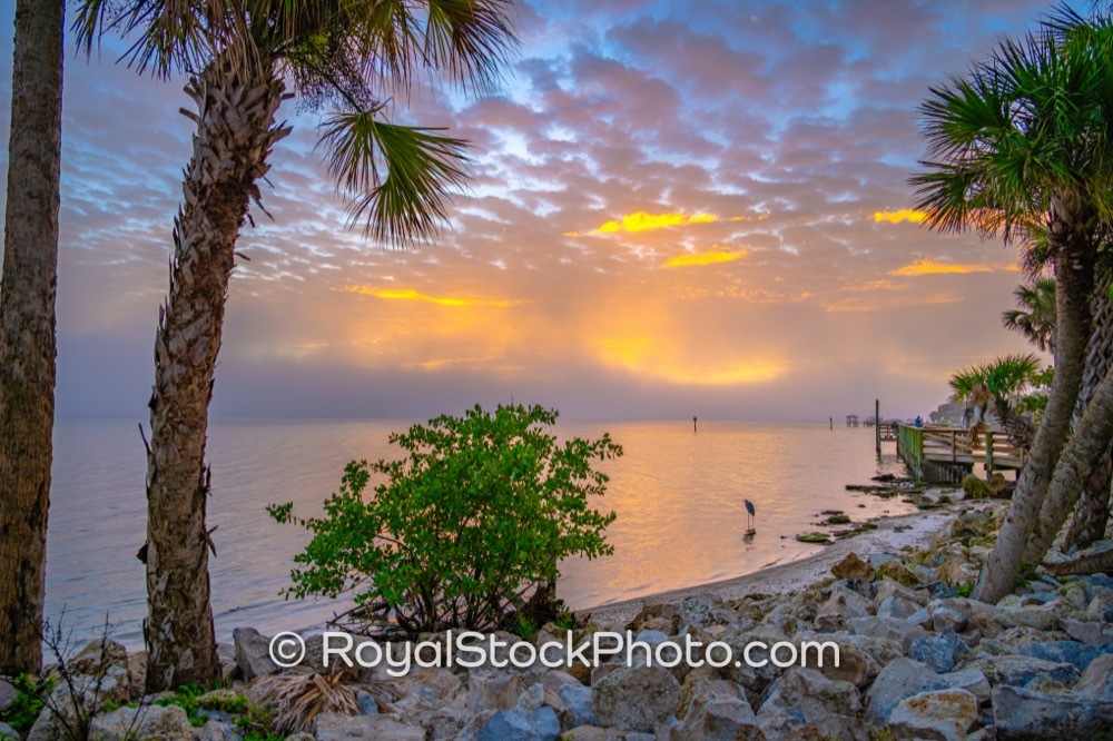 Wildlife and Habitat Preservation Highlight Early Dawn at Castaways Point Park in Palm Bay Florida on Bay Boulevard Northeast 20260104