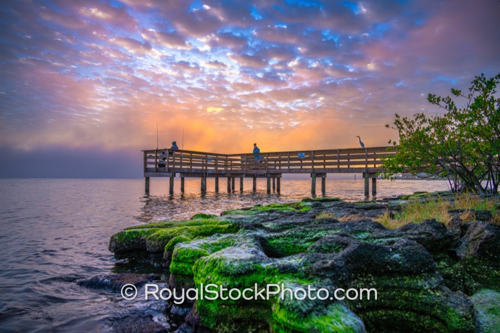 Capturing the Active Lifestyle of Local Fishermen at Castaways Point Park Palm Bay FL on Bay Boulevard Northeast 20260104