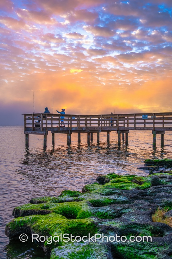Revel in Waterfront Living at Castaways Point Park with Fishing Enthusiasts at Sunrise on Bay Boulevard Northeast 20260104