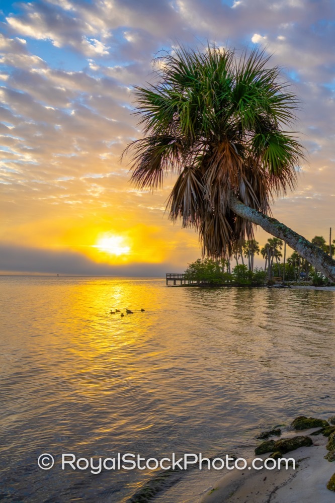 Basking in Morning Light at Castaways Point Park Enriches Visitor Experience and Coastal Activities on Bay Boulevard Northeast 20260104